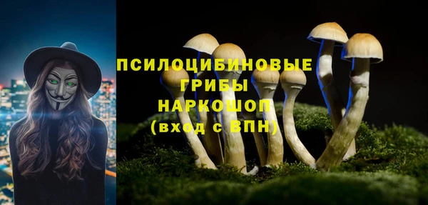 тгк Надым