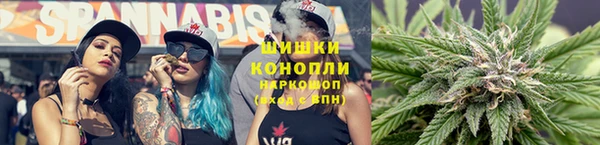 тгк Надым