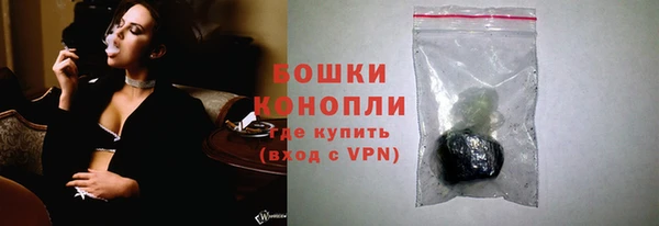 сатива Беслан