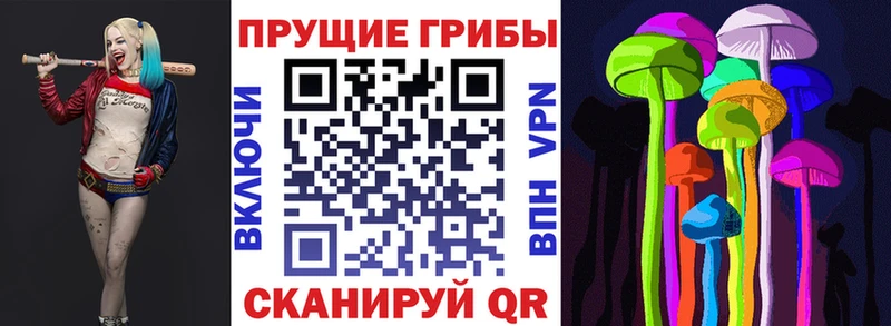 закладки  кракен tor  Псилоцибиновые грибы MAGIC MUSHROOMS  Саянск 